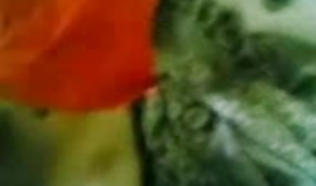 मोज़ा में सेक्सी श्यामला dildo के हस्तमैथुन हिंदी हद सेक्सी मूवी