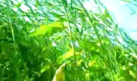 एक युवा कुतिया ने सेक्सी वीडियो फुल मूवी कुछ शराब पी और खुद को एक मोमबत्ती के साथ गड़बड़ कर दिया